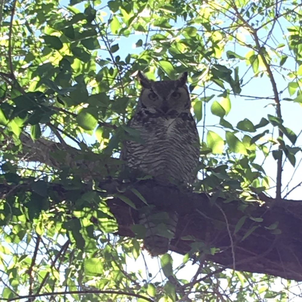 Meet your Posher, Marieken